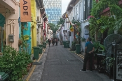 DSC_0246