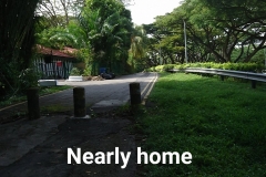 orca-image-1506672343101.jpg_1506672343450